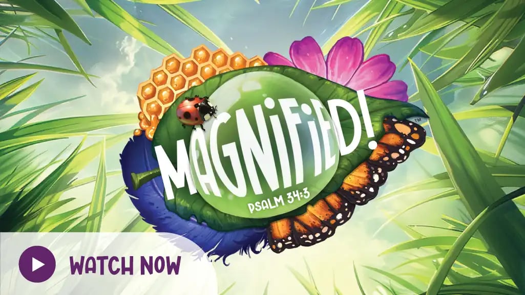 magnified-promo-video-poster